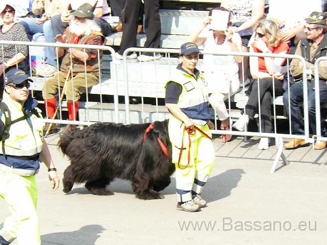 Adunata Alpini Bassano 2008 TZ-044.JPG